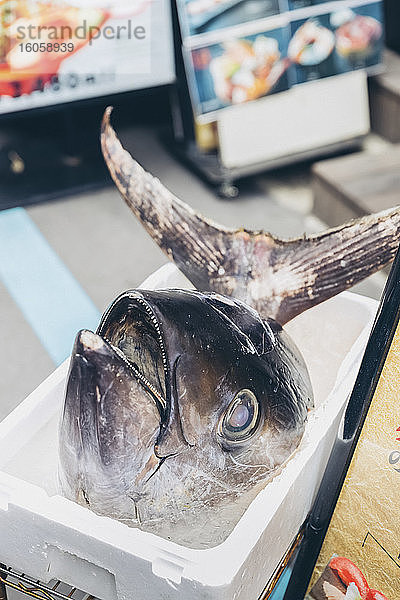 Thunfischchef  Tokio Fischmarkt  Tokio  Japan