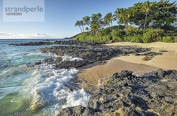 Küstenlinie von Maui mit schroffem Lavagestein und Palmen; Kihei  Maui  Hawaii  Vereinigte Staaten von Amerika