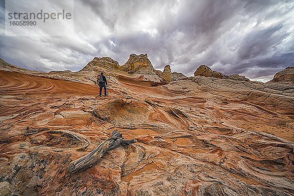 Wanderer auf den erstaunlichen Fels- und Sandsteinformationen von White Pocket; Arizona  Vereinigte Staaten von Amerika