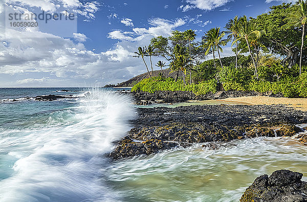 Küstenlinie von Maui mit schroffem Lavagestein  Palmen und einem Strand; Kihei  Maui  Hawaii  Vereinigte Staaten von Amerika
