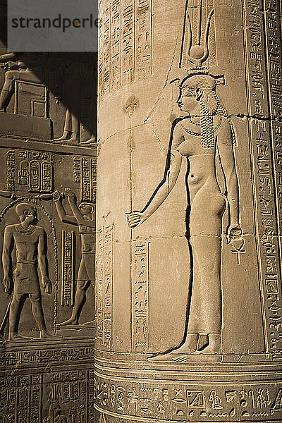Diety  Säulenreliefs  Tempel von Sobek und Haroeris; Kom Ombo  Ägypten