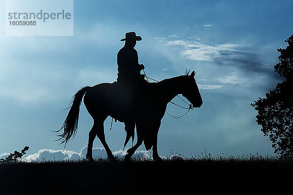 Silhouette eines Cowboys  der auf einem Pferd reitet  vor einem blauen Himmel mit Wolken; Montana  Vereinigte Staaten von Amerika