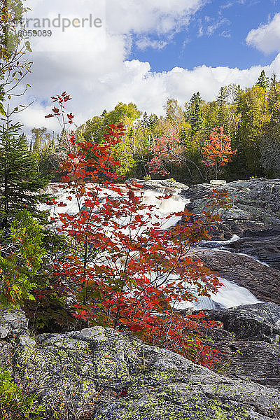 Ein rauschender Fluss fließt über Felsen mit atemberaubendem herbstlich gefärbtem Laub; Thunder Bay  Ontario  Kanada