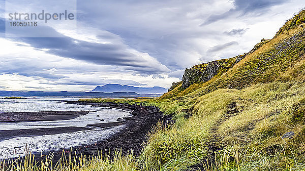 Typische isländische Landschaft mit grüner Tundra  schwarzem Sand am Wasser und einer Bergregion unter bewölktem Himmel; Island