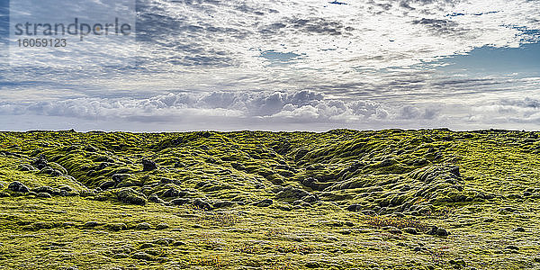 Grünes Laub in der Landschaft mit Wolken am Horizont in Südisland; Skaftarhreppur  Südliche Region  Island