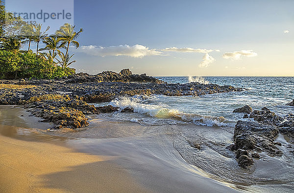 Küstenlinie von Maui mit schroffem Lavagestein  einem Strand und Palmen; Kihei  Maui  Hawaii  Vereinigte Staaten von Amerika