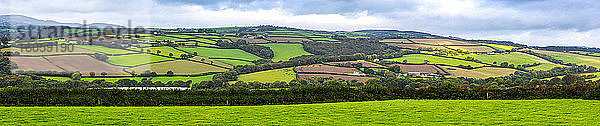 Panorama eines hügeligen Flickenteppichs von Feldern  die von Bäumen und Sträuchern eingerahmt sind; Grafschaft Cornwall  England