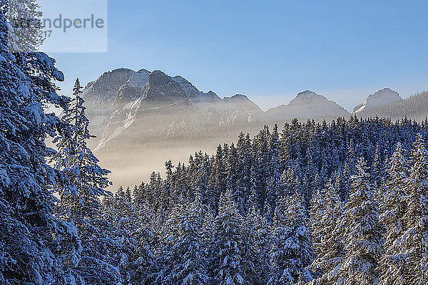 Schneespuren auf den zerklüfteten Rocky Mountains und im immergrünen Wald im Banff National Park; Alberta  Kanada