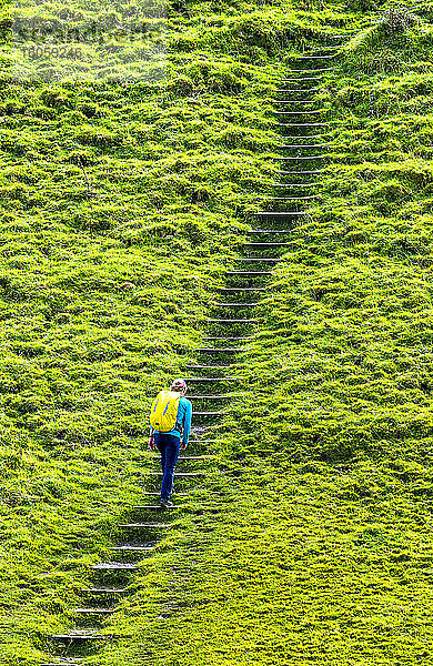 Weibliche Wanderin erklimmt Steintreppe auf grasbewachsenem Hügel; Grafschaft Cornwall  England