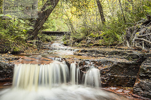 Kaskadenartiger Fluss durch einen Wald; Thunder Bay  Ontario  Kanada