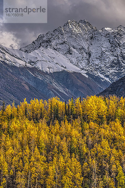 Herbstliche Farben in den Chugach-Bergen; Alaska  Vereinigte Staaten von Amerika