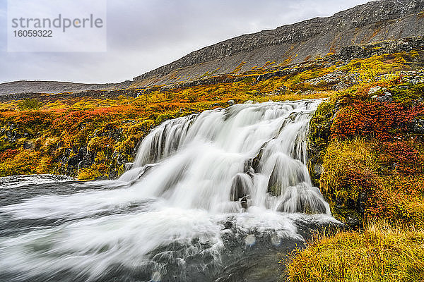 Dynjandi (auch als Fjallfoss bekannt) ist eine Reihe von Wasserfällen in den Westfjorden  Island. Die Wasserfälle haben eine Gesamthöhe von 100 Metern; Isafjaroarbaer  Westfjorde  Island