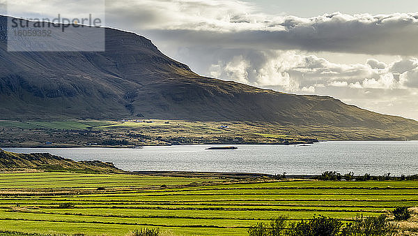 Ruhige Küstenlinie mit warmem Sonnenlicht und üppigen Feldern; Kjosarhreppur  Hauptstadtregion  Island