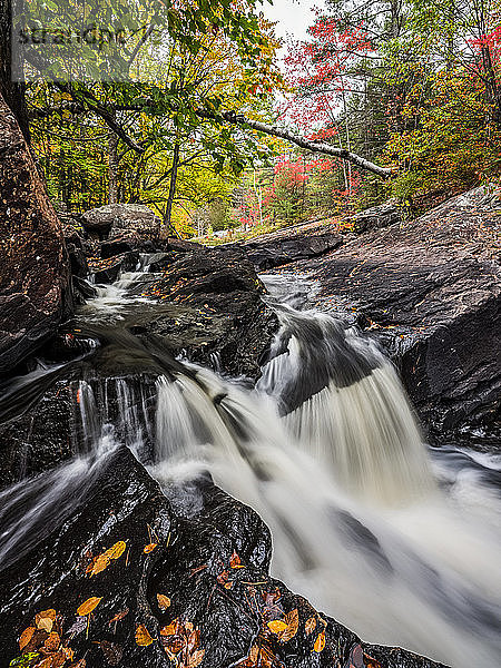 Wasser aus dem York River  das im Herbst über Wasserfälle im Algonquin-Provinzpark fließt; Ontario  Kanada