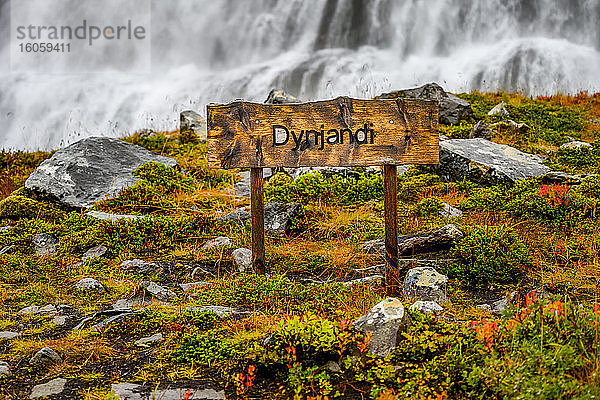 Dynjandi (auch als Fjallfoss bekannt) ist eine Reihe von Wasserfällen in den Westfjorden  Island. Die Wasserfälle haben eine Gesamthöhe von 100 Metern; Isafjardarbaer  Westfjorde  Island