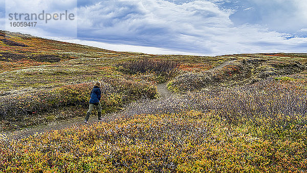Eine Frau geht auf einem Pfad durch eine Landschaft im Nordosten Islands; Nordurping  Nordostregion  Island