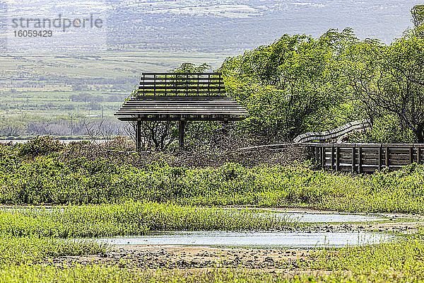 Kealia Pond National Wildlife Refuge Walkway und Pavillon  von dem aus Besucher Wildtiere beobachten können. Dieses Refugium befindet sich in der Nähe von Kihei; Maui  Hawaii  Vereinigte Staaten von Amerika
