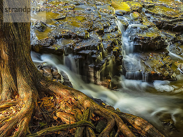 Jones Falls; Owen Sound  Ontario  Kanada