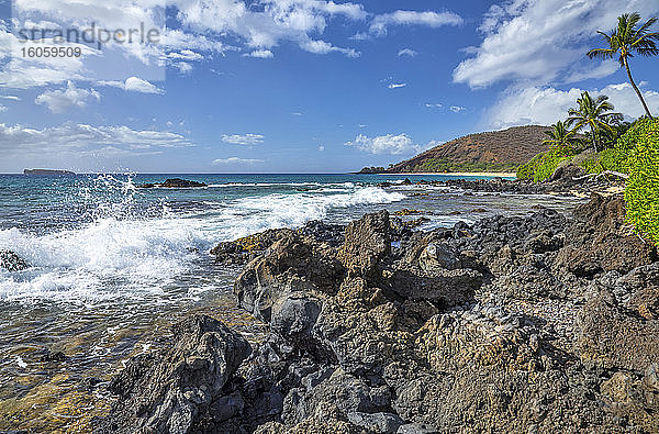 Küstenlinie von Maui mit schroffem Lavagestein und Palmen; Kihei  Maui  Hawaii  Vereinigte Staaten von Amerika