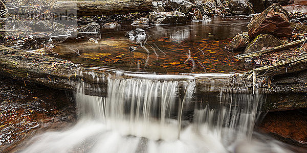 Kleiner Wasserfall über einem umgestürzten Baum in einem kaskadenartigen Fluss; Thunder Bay  Ontario  Kanada