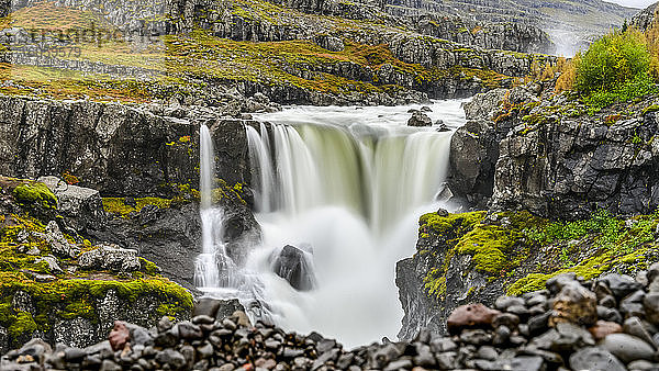 Ein Wasserfall über einer felsigen Landschaft in Herbstfarben; Djupivogur  östliche Region  Island