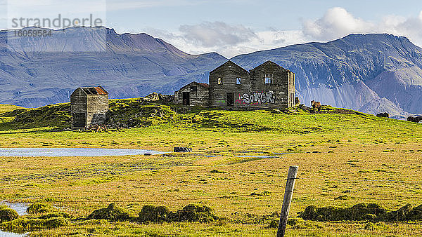 Farmgebäude mit Graffiti und Pferden in einer Landschaft im Osten Islands; Hornafjordur  östliche Region  Island