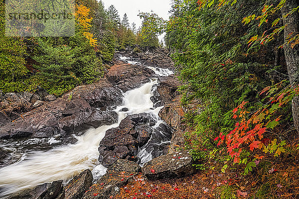 Fluss fließt im Herbst über felsiges Gelände  Ragged Falls Provincial Park; Dwight  Ontario  Kanada