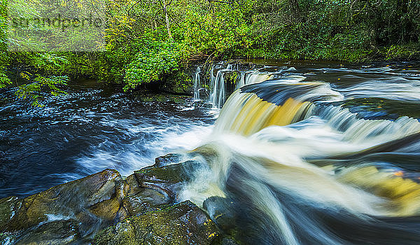 Wasser fließt über die Lippe eines Wasserfalls an einem Fluss in einem Wald in Irland; Clare Glens  County Tipperary  Irland