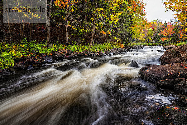 Der Brooks River fließt in einem Herbst in Ontario über Stromschnellen und Wasserfälle; Huntsville  Ontario  Kanada