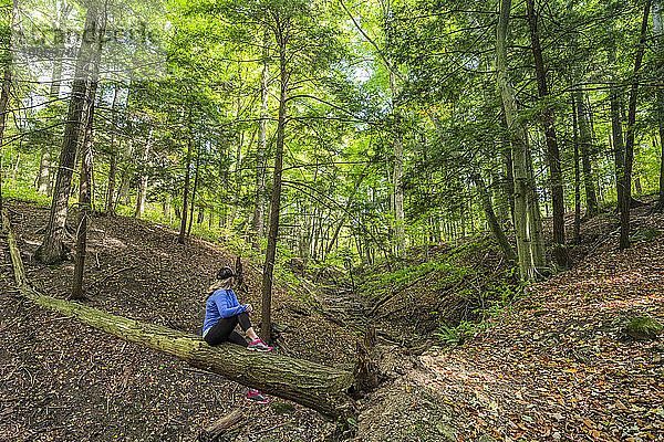 Frau sitzt auf einem Baumstamm im Wald; Ontario  Kanada