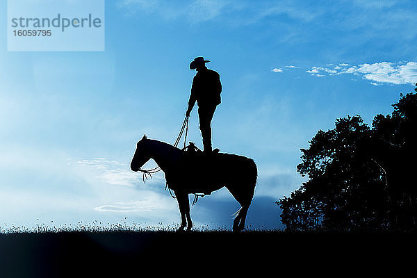 Silhouette eines Cowboys  der auf dem Rücken eines Pferdes vor einem blauen Himmel mit Wolken steht; Montana  Vereinigte Staaten von Amerika