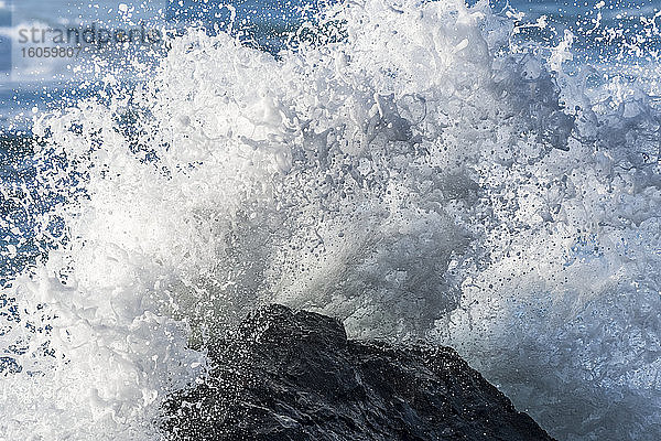 Eine Welle bricht auf einem Felsen im Ecola State Park; Cannon Beach  Oregon  Vereinigte Staaten von Amerika