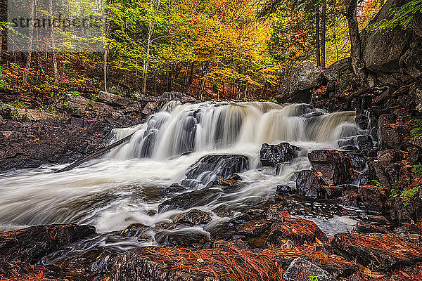 Der Brooks River fließt in einem Herbst in Ontario über Stromschnellen und Wasserfälle; Huntsville  Ontario  Kanada