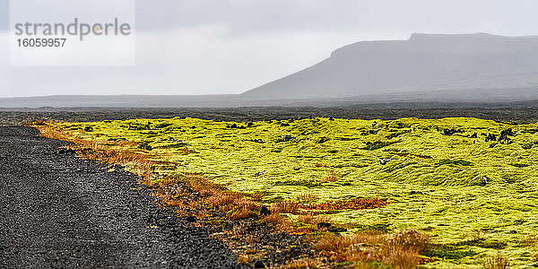 Hellgrüne Tundra im Nebel und silhouettierte Berge in der Ferne in Südisland; Olfus  Südliche Region  Island