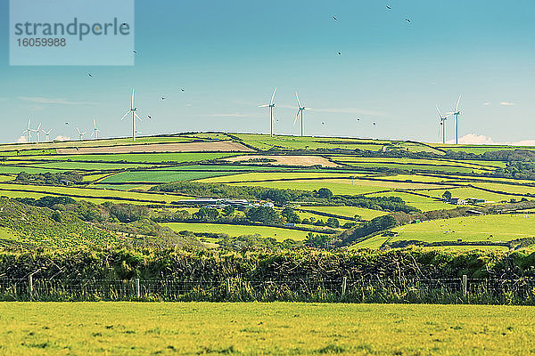 Ein Patchwork aus hügeligen  von Bäumen und Sträuchern gesäumten Feldern mit großen Metallwindturbinen und blauem Himmel; Grafschaft Cornwall  England