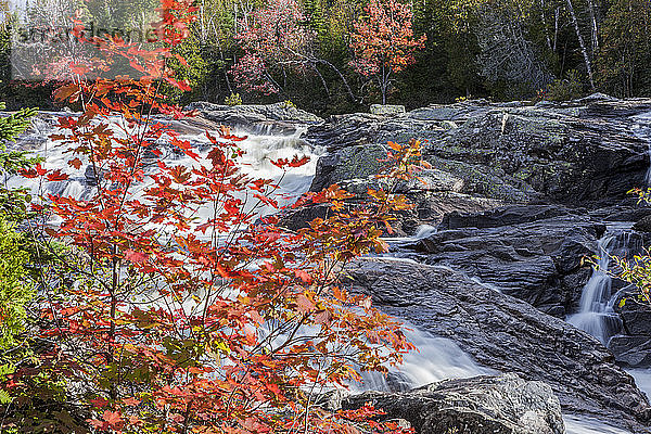 Ein rauschender Fluss fließt über Felsen mit atemberaubendem herbstlich gefärbtem Laub; Thunder Bay  Ontario  Kanada