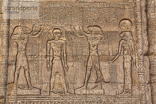 Bas-Reliefs  Hypostyle Hall  Khnum-Tempel; Esna  Ägypten