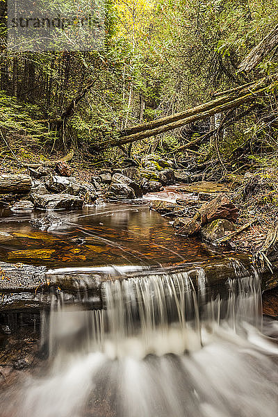 Kaskadenartiger Fluss durch einen Wald; Thunder Bay  Ontario  Kanada