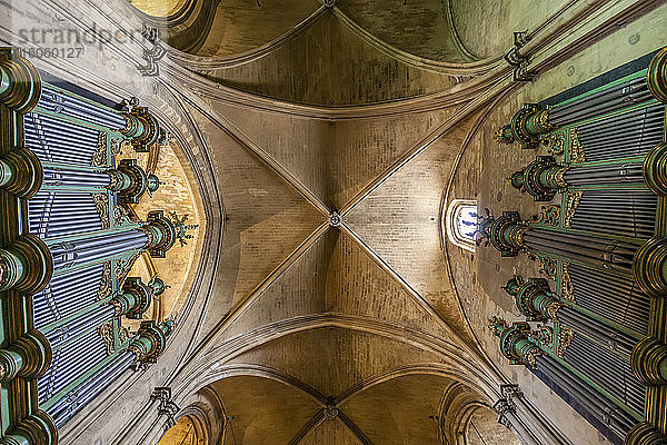 Gewölbedecke und Ducroquet/Cavaille-Coll-Orgel der Kathedrale von Aix-en-Provence (Kathedrale Saint-Sauveur d'Aix-en-Provence); Aix-en-Provence  Provence  Frankreich