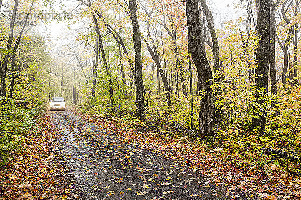 Ein Auto fährt eine Schotterstraße hinunter  die in Herbstfarben durch einen nebligen Wald in der Nähe von Grand Portage führt; Minnesota  Vereinigte Staaten von Amerika