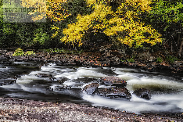 Lange Exposition gegenüber dem Wind  der die Blätter in den Bäumen über die Oberseite des Oxtongue River weht; Ontario  Kanada