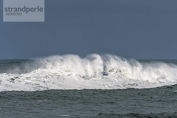 Eine Welle krönt sich an einem stürmischen Wintermorgen; Seeside  Oregon  Vereinigte Staaten von Amerika