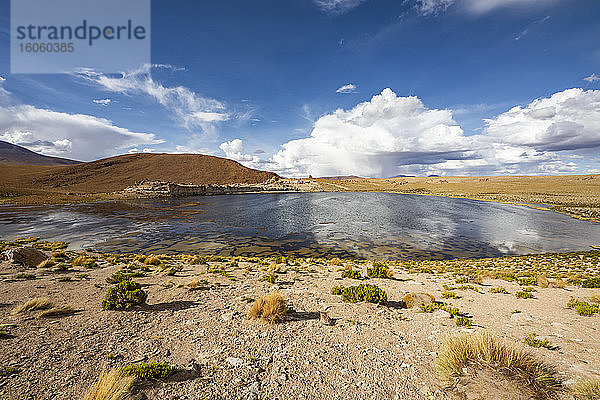 Laguna Turquiri; Abteilung Potosi  Bolivien