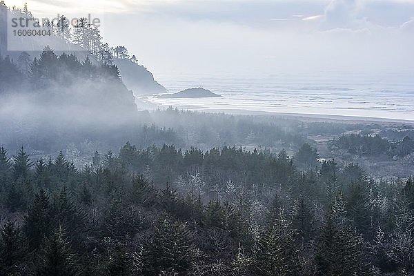 Blick auf Kap Enttäuschung mit dichtem Nebel über Wald und Meer; Washington  Vereinigte Staaten von Amerika