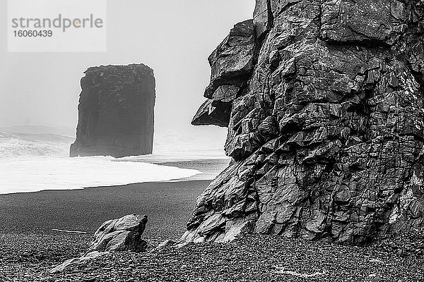 Schwarz-Weiß-Bild eines Seestapels entlang der zerklüfteten Küstenlinie Ostislands; Djupivogur  östliche Region  Island