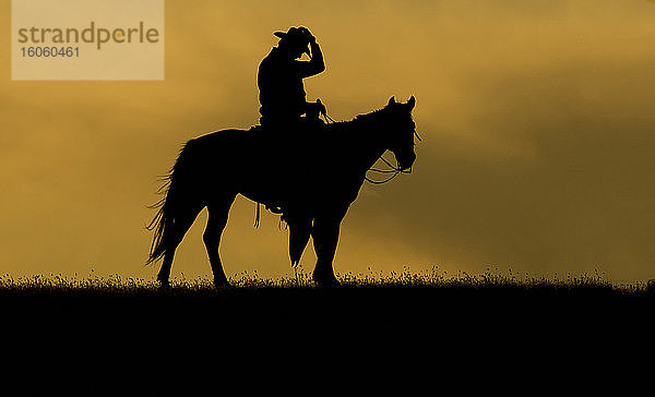 Silhouette eines Cowboys auf einem Pferd vor einem Himmel aus goldenen Wolken bei Sonnenuntergang; Montana  Vereinigte Staaten von Amerika