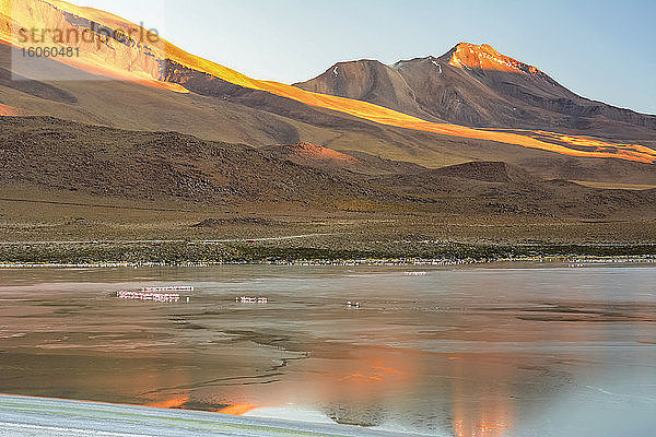 Die Sonne geht über einer bolivianischen Lagune auf und beleuchtet den Berg im Hintergrund rot. Flamingos schlafen noch auf der Wasseroberfläche; Potosi  Sur Lupiz  Bolivien