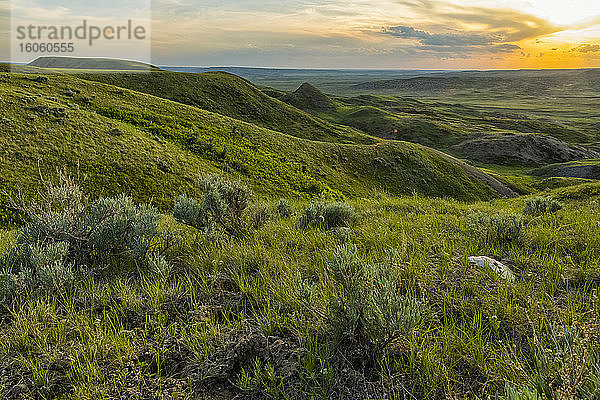 Spätes Nachmittagslicht erhellt die Hügel und Prärien des Grasland-Nationalparks; Val Marie  Saskatchewan  Kanada