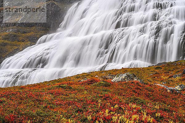 Dynjandi (auch als Fjallfoss bekannt) ist eine Reihe von Wasserfällen in den Westfjorden  Island. Die Wasserfälle haben eine Gesamthöhe von 100 Metern; Isafjardarbaer  Westfjorde  Island