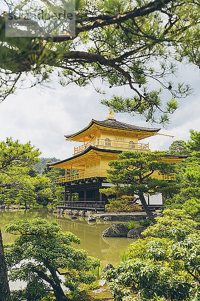 Tempel des Goldenen Pavillons  Kinkaku-ji; Kyoto  Kansai  Japan